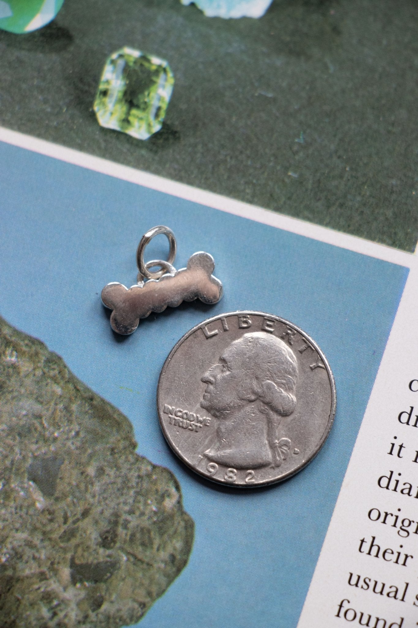 Charm - PRE - ORDER Dog Bone Charm | 14k Yellow Gold or Sterling Silver - Lettuce Goods