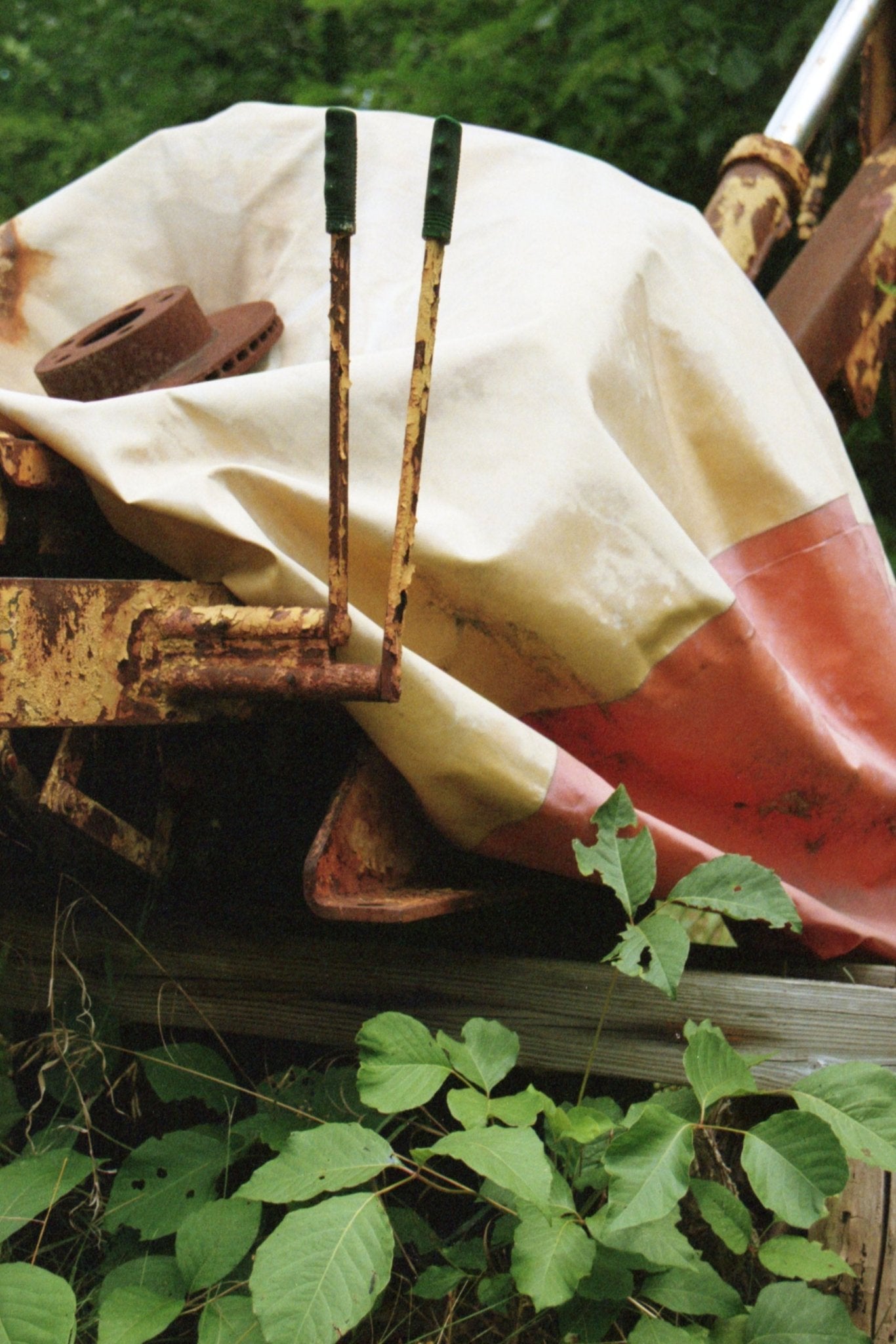 lettuce goods - Lettuce Goods