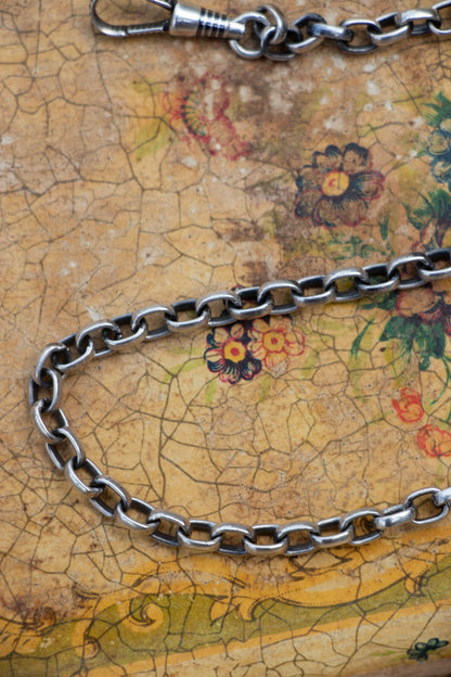 Necklace - Antique Sterling Silver Dog Clip Chain - LETTUCE STUDIOS