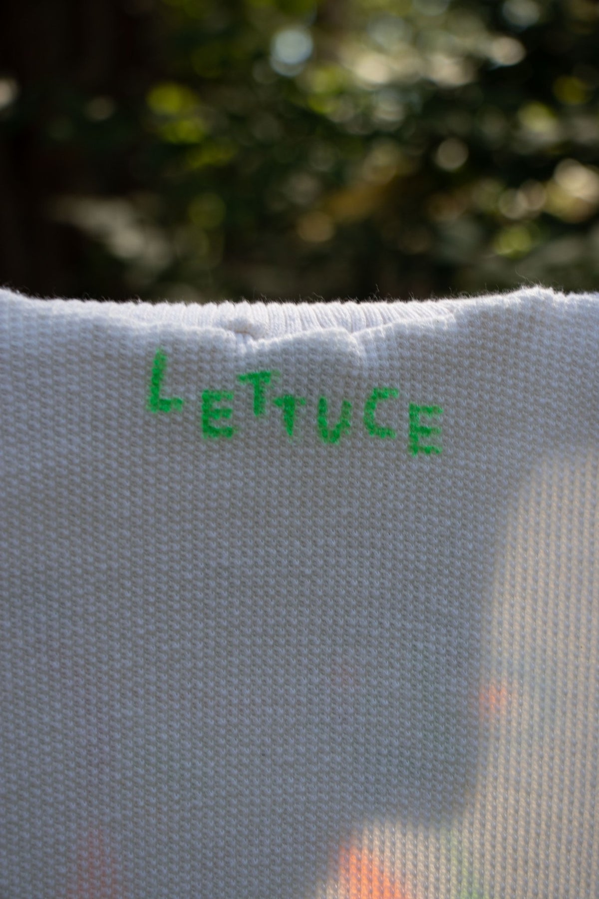 Turtleneck Sweater - Lettuce Doggie Waffle Knit Turtleneck no. 1 - Lettuce Goods