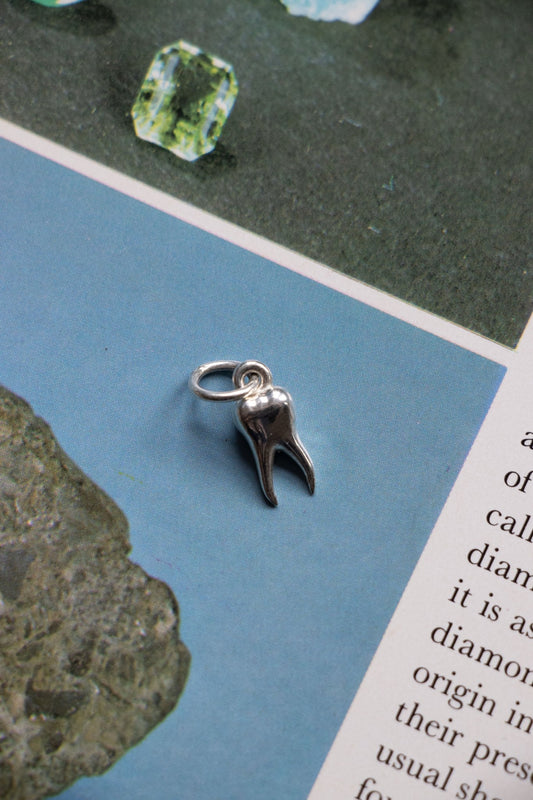 Charm - PRE - ORDER Pre - Molar Charm | 14k Yellow Gold or Sterling Silver - Lettuce Goods