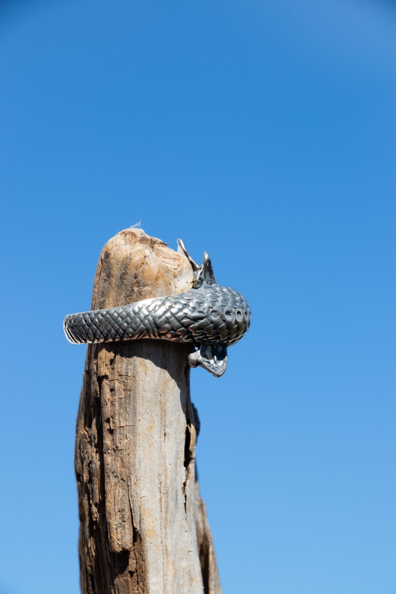 Ring - Sterling Vintage Porpoise Ring - Lettuce Goods