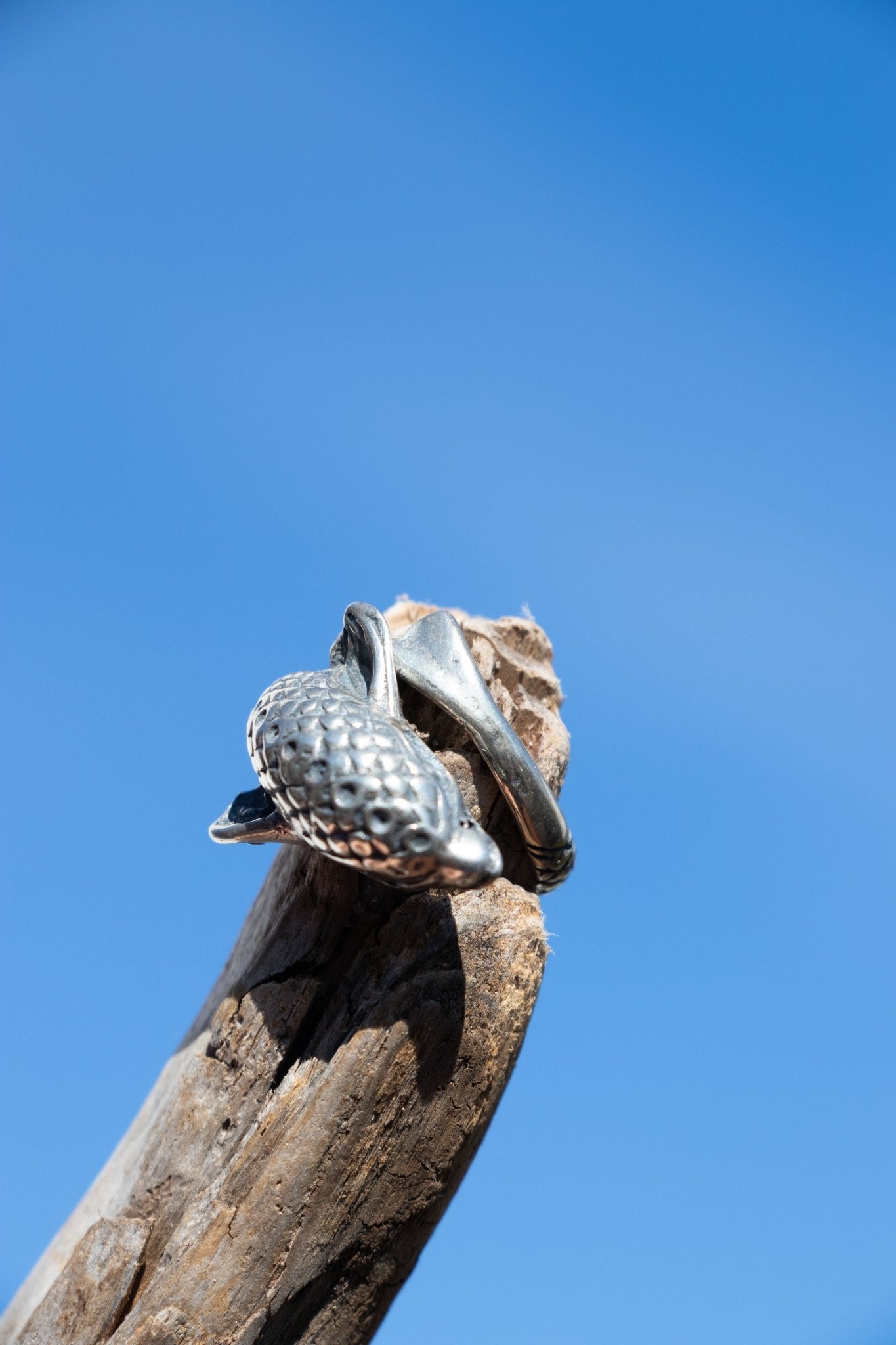 Ring - Sterling Vintage Porpoise Ring - Lettuce Goods