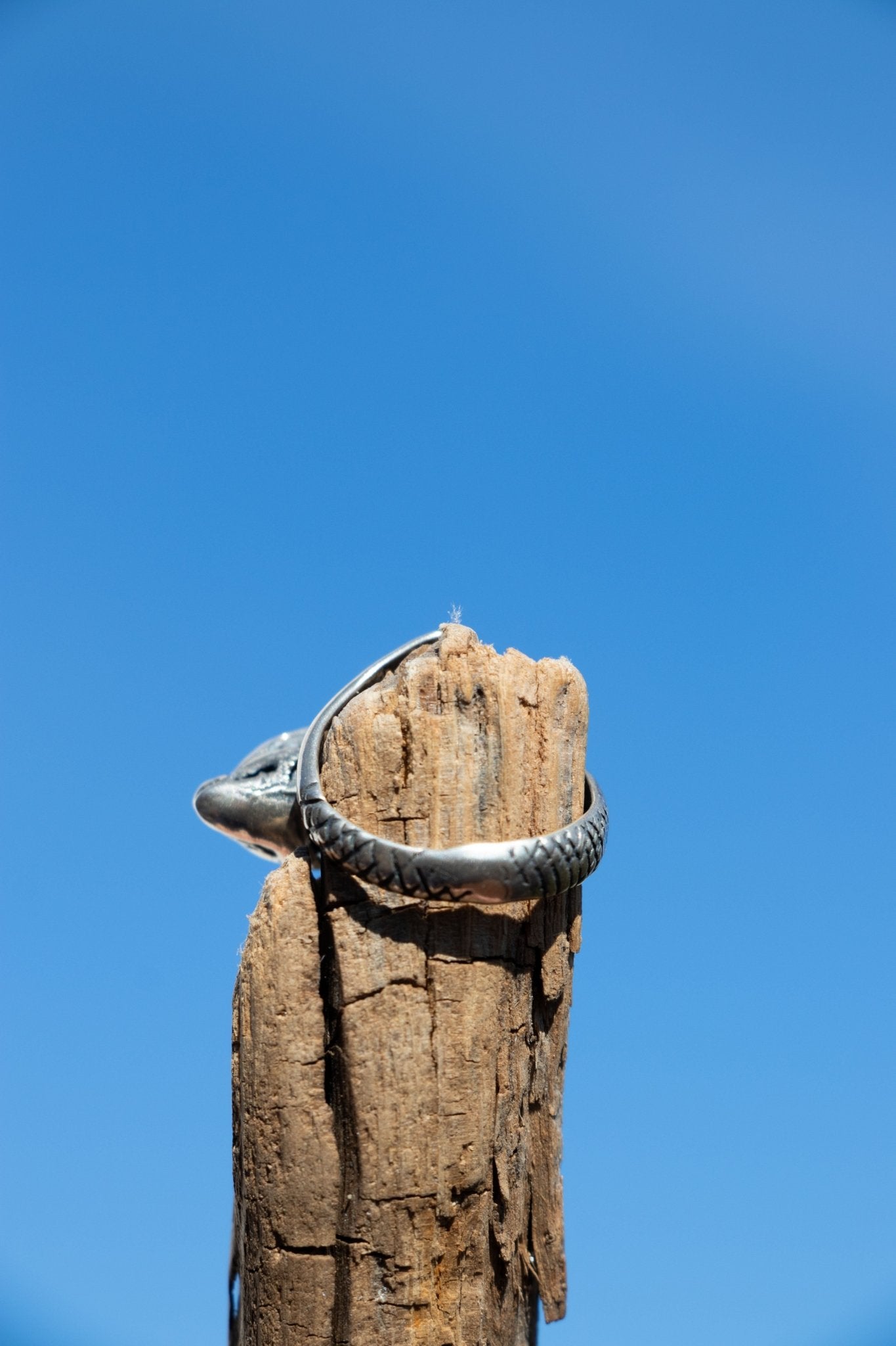 Ring - Sterling Vintage Porpoise Ring - Lettuce Goods