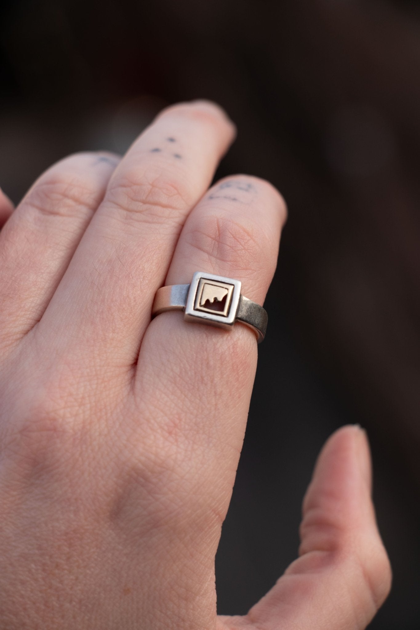 Ring - Vintage Sterling & 14k Frame Ring - Lettuce Goods