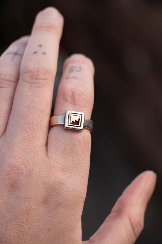 Ring - Vintage Sterling & 14k Frame Ring - Lettuce Goods